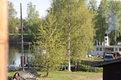 Grönskande vår- eller sommarkväll vid en sjö. I förgrunden syns björkar med ljusgröna löv och gräsbevuxen mark. I bakgrunden ligger vattnet spegelblankt med bryggor, en mindre båt och en ångbåt eller arbetsbåt med skorsten. Ljuset är mjukt och stämningen lugn och idyllisk.